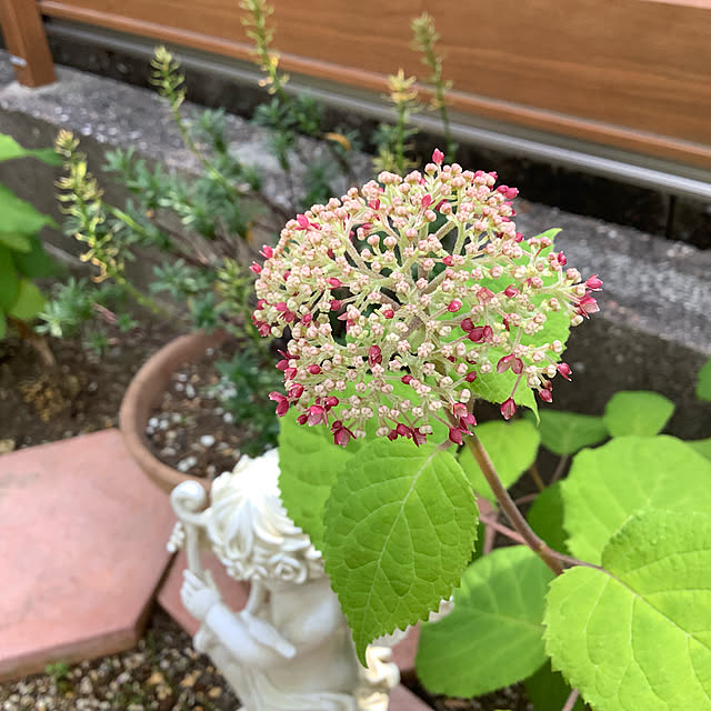 haruminさんの実例写真