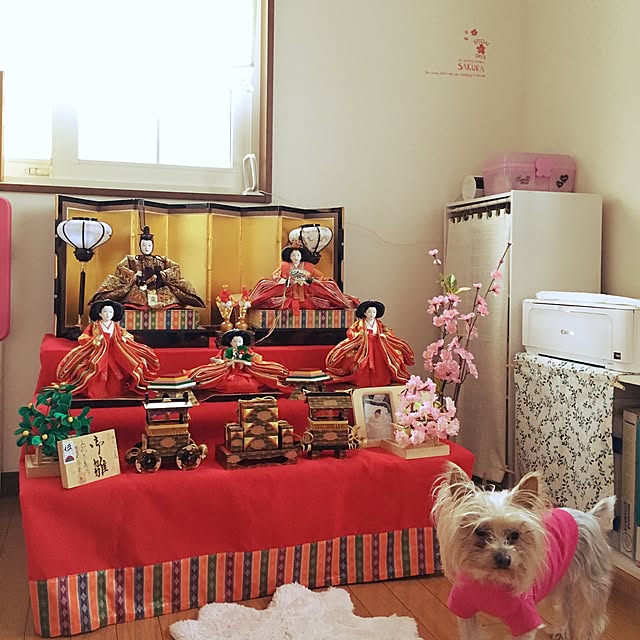 saki.kotaさんの実例写真