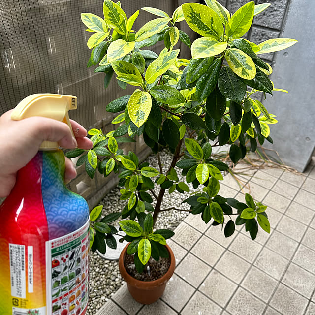 umai-bさんの部屋