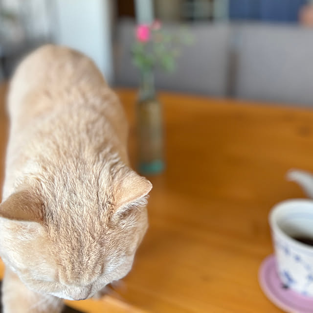 naokoさんの部屋