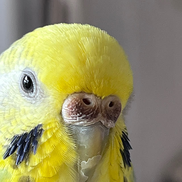 Atsukoさんの部屋