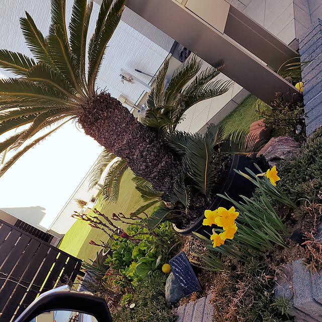 Moeさんの実例写真