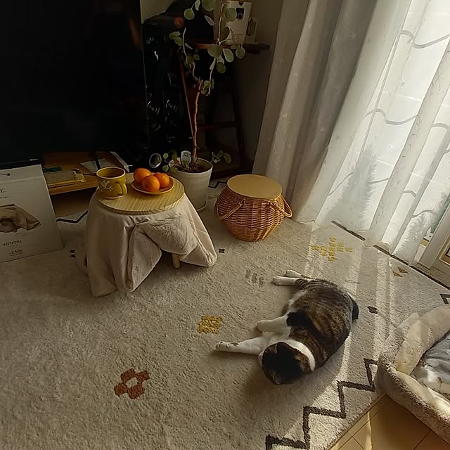 civicglさんの部屋