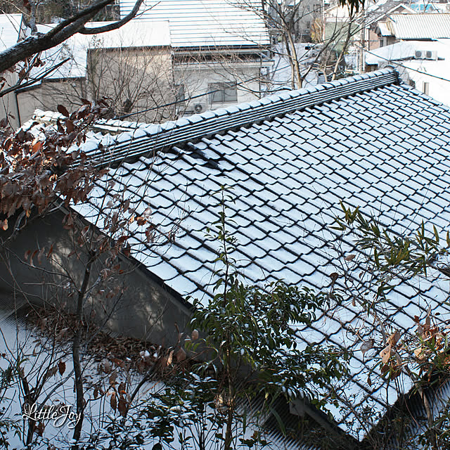 玄関/入り口/雪景色/里山生活/屋根/屋根の雪...などのインテリア実例 - 2018-01-28 11:15:06