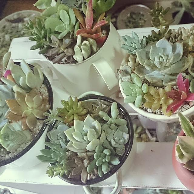 rookier05さんの実例写真