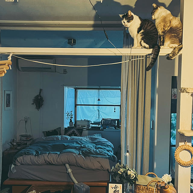 a.f.さんの実例写真