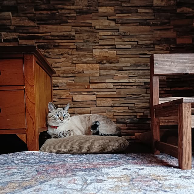 Atelier_tamakiさんの実例写真