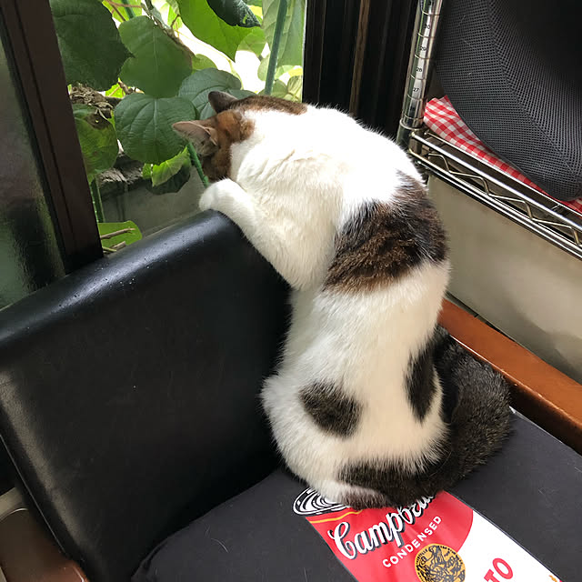 arayanさんの実例写真