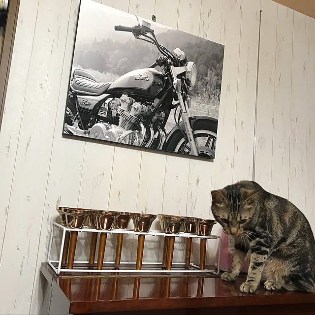 pepeさんの実例写真