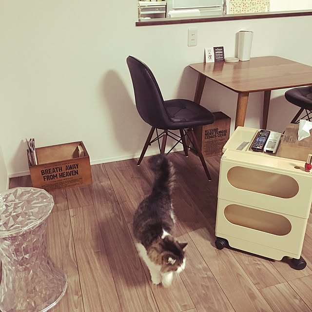 yumi_nekoさんの実例写真