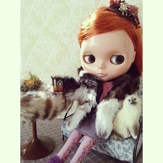 Suntrap811さんの実例写真