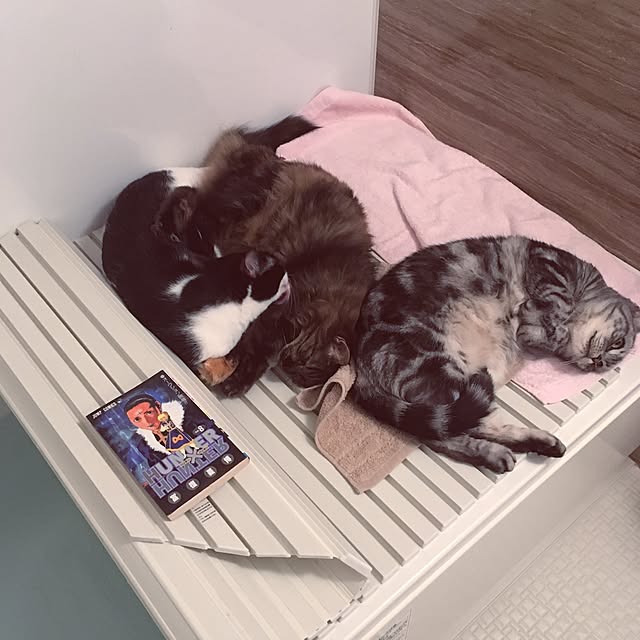 mikomaruさんの実例写真