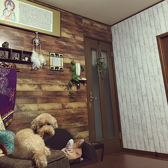 ronmaruさんの実例写真