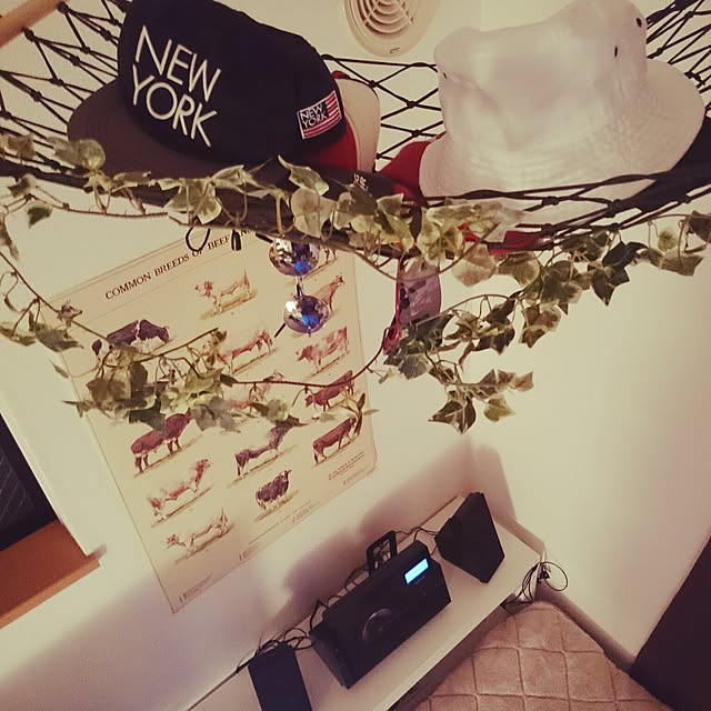 o-iotyaさんの実例写真