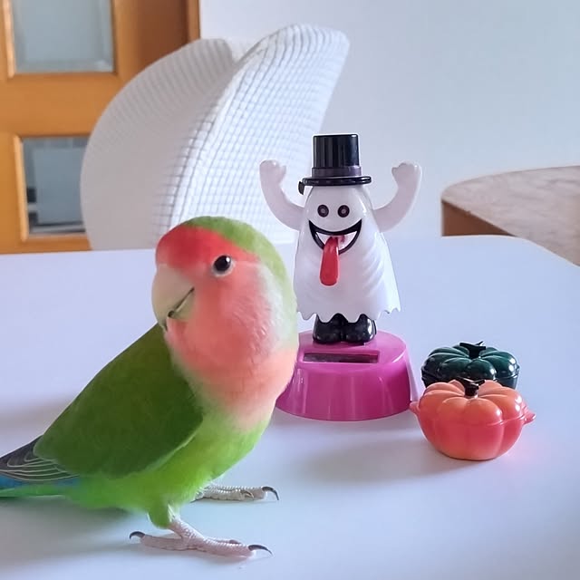 toratanさんの部屋