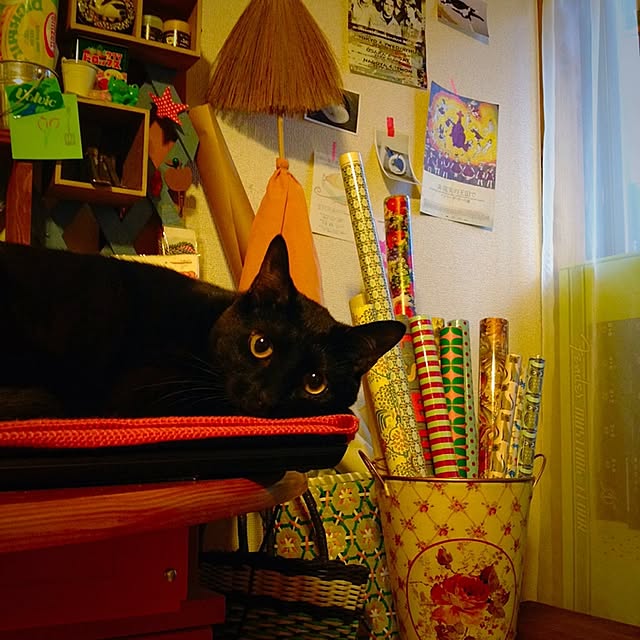 hilaさんの実例写真