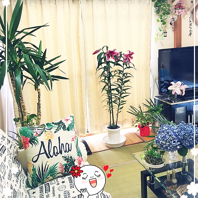 nanaさんの実例写真
