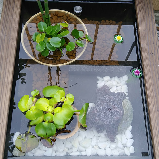 smashmouseさんの実例写真