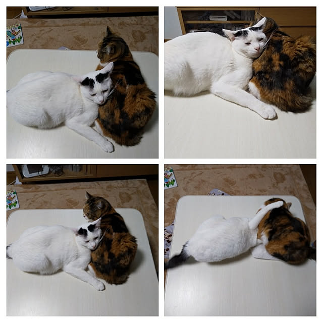 yukieさんの実例写真