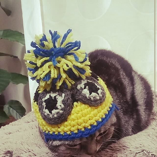yumi0714さんの実例写真