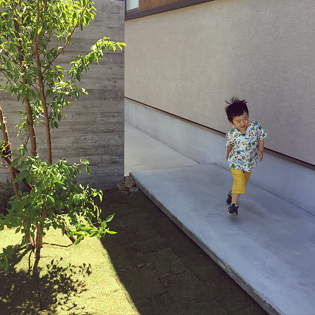 dachiさんの実例写真