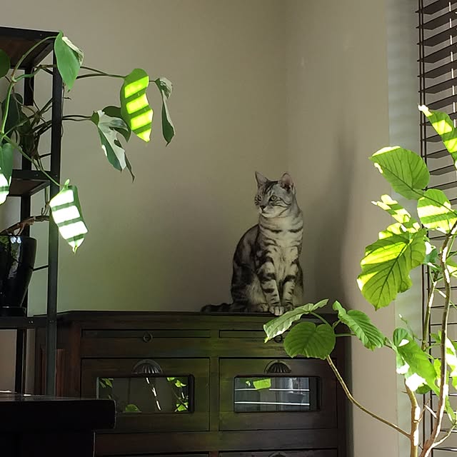 charlieさんの実例写真