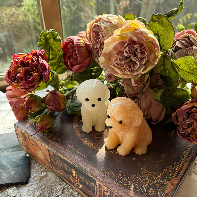 mamizaさんの部屋