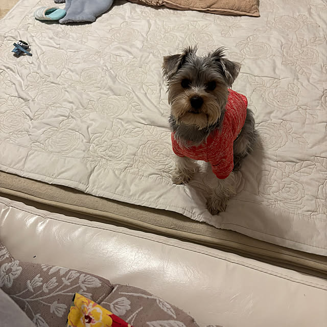 msさんの部屋