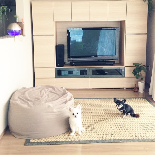 acchiさんの実例写真