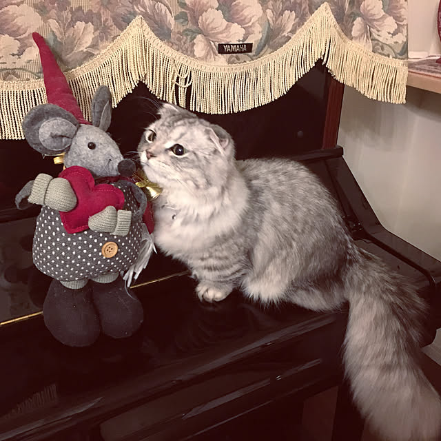 hirominさんの実例写真