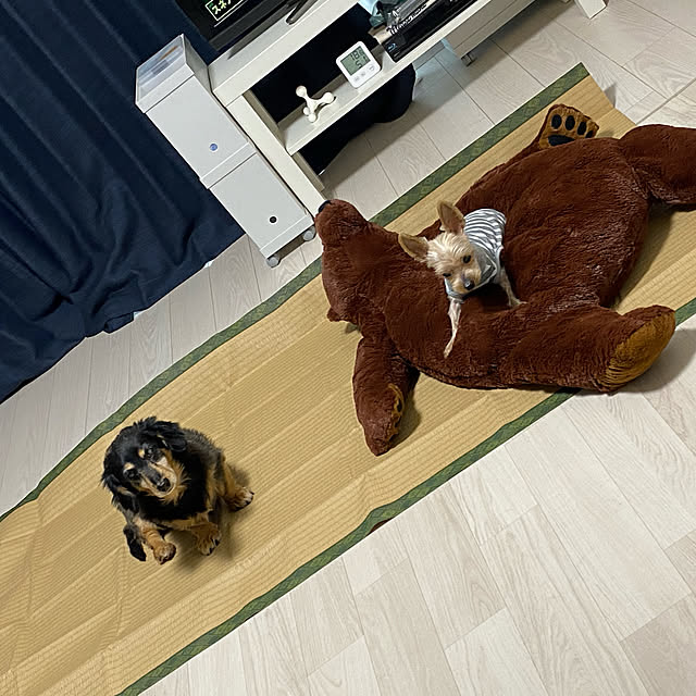 ohanaさんの実例写真