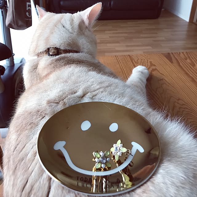 hiyupan88さんの実例写真
