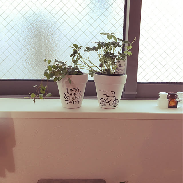 chauさんの実例写真