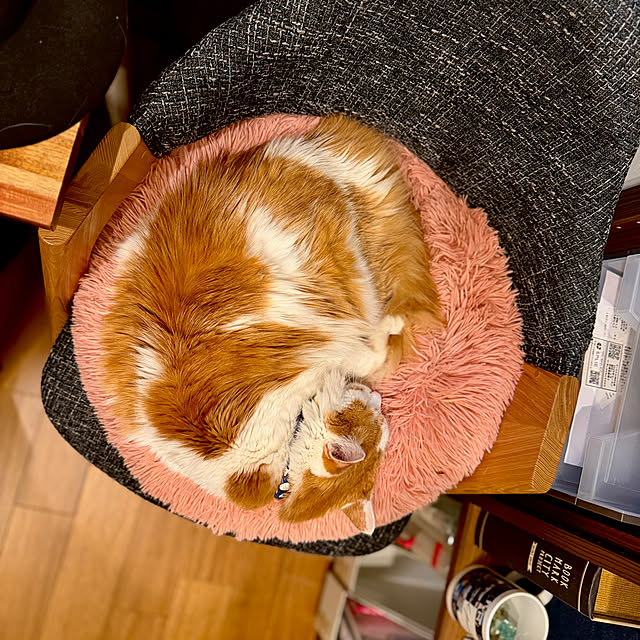 yutaさんの実例写真