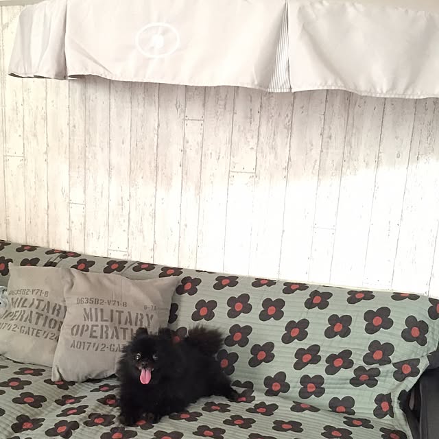ohanaさんの実例写真