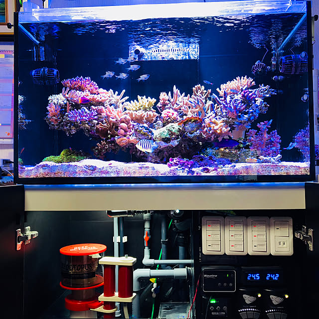 aquarium_seaさんの実例写真