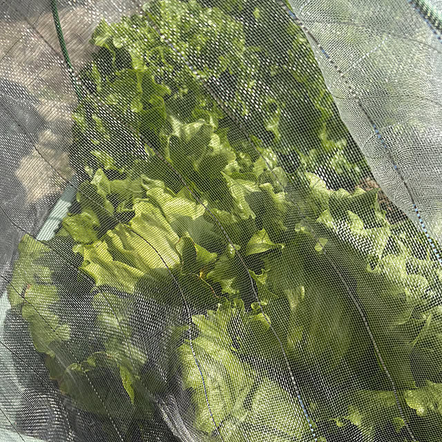 ritsukoさんの部屋