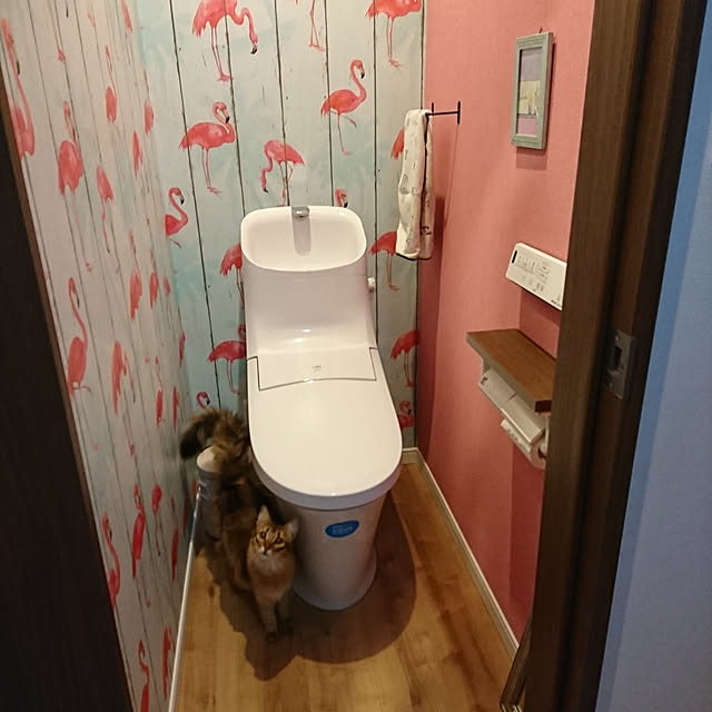 poniさんの実例写真