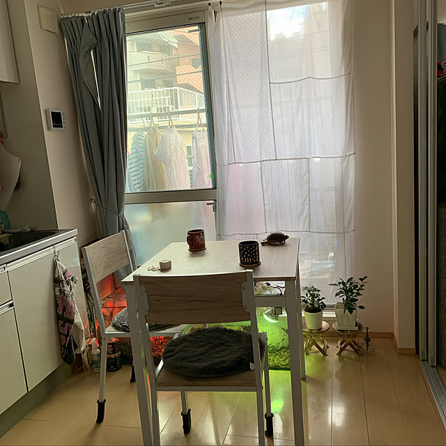 シェフレラ/パキラ/無印良品/2人暮らし/サリュ...などのインテリア実例 - 2019-07-07 22:52:04