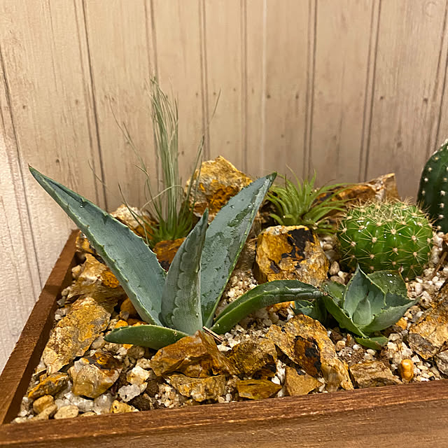 CHARさんの部屋