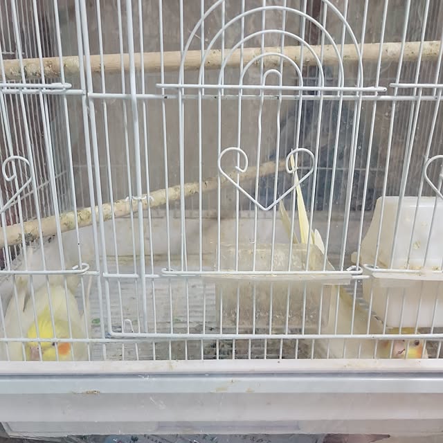 ANTENNAさんの実例写真