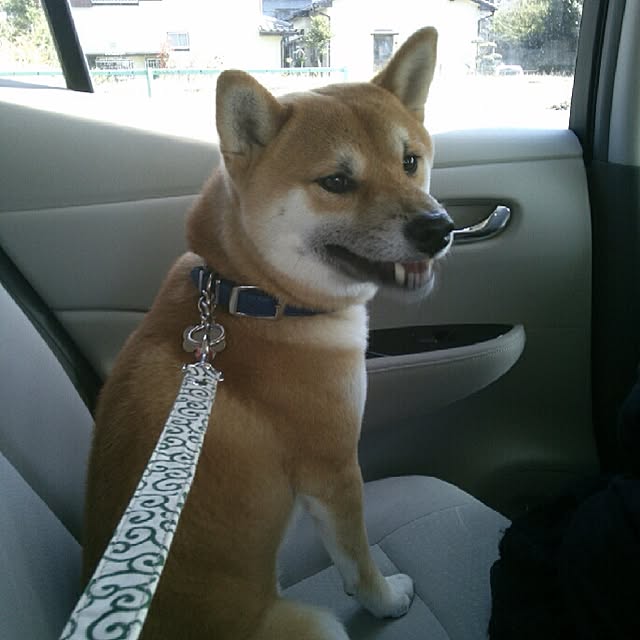 kotaさんの実例写真