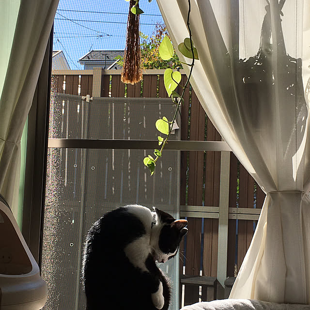 kojimasaさんの部屋