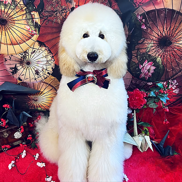 nackeyさんの実例写真