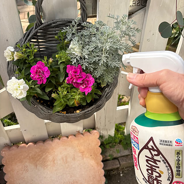 momocchiさんの実例写真