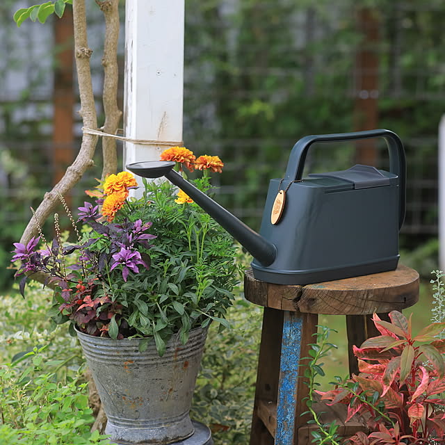 Royal_Gardeners_Clubさんの実例写真