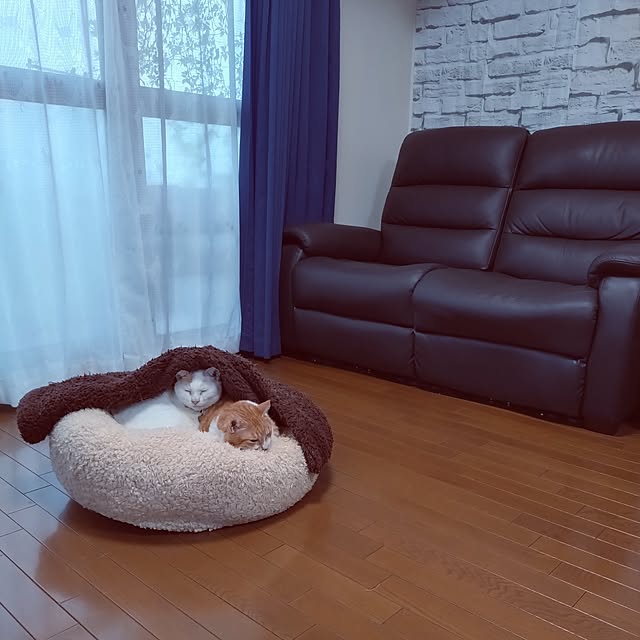 NOAHさんの部屋