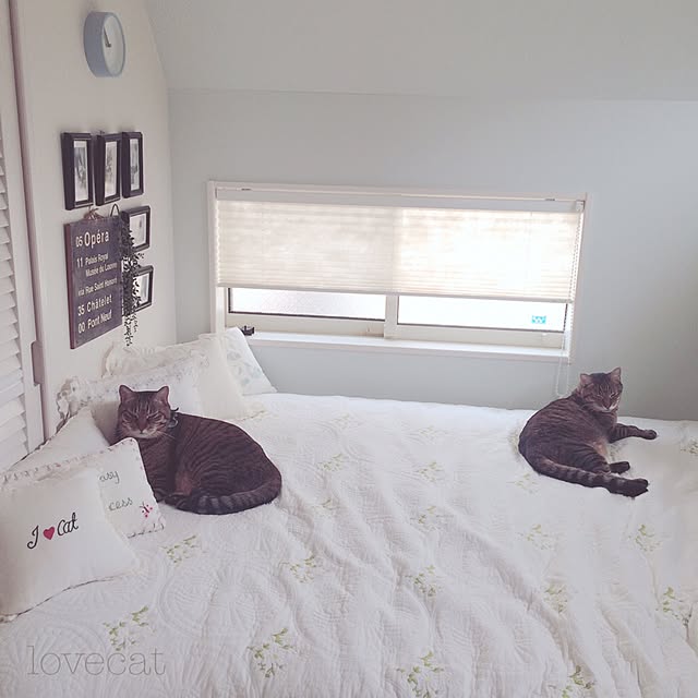 lovecatさんの実例写真