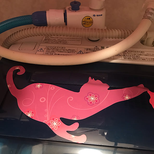 togasiai7necoさんの実例写真