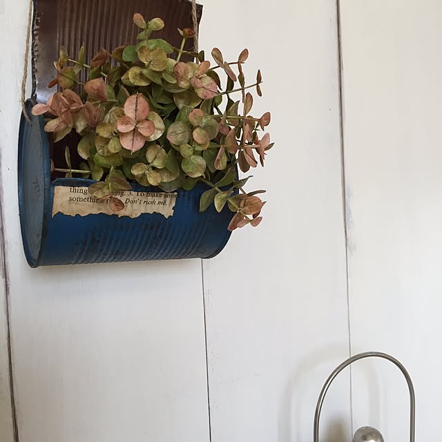 rookuさんの実例写真